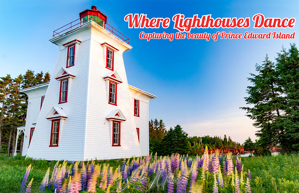 Where Lighthouses Dance